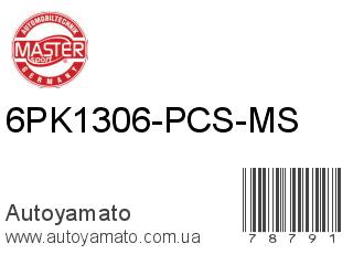 6PK1306-PCS-MS (MASTER SPORT)
